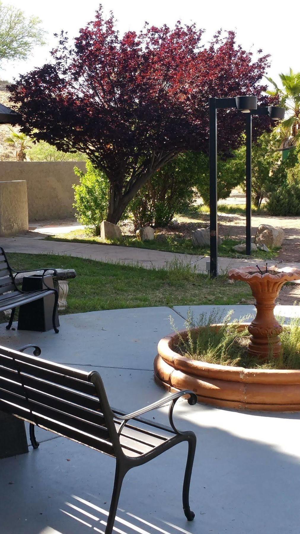 Mariposa Hotel Nogales Dış mekan fotoğraf